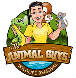 The Animal Guys Tennessee