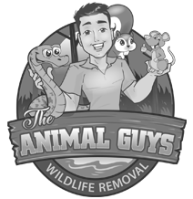 The Animal Guys